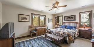 Park Meadows Home with Views on a Cul-De-Sac Gallery 12