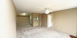 Wilshire Park Gallery 12