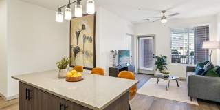 Cottonwood Ranch Gallery 19