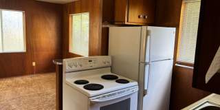 Country Environment in Town Gallery 7