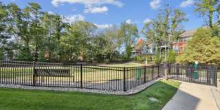 The Ivy Apartment Homes Gallery 17