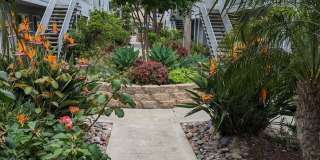 Beautiful, recently remodeled 1 bedroom 1 bathroom condo available now - MOVE IN SPECIAL Gallery 14