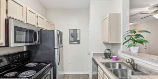 Sole at Citrus Park Gallery 1