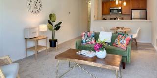5834 NE 75th St Unit B202 Gallery 7