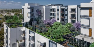 Envy Pompano Beach Gallery 35