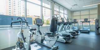 Ovation 309 Gallery 35