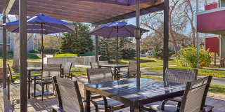 ReNEW Foothills Gallery 30