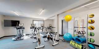 The Lily The Lily Gallery 16