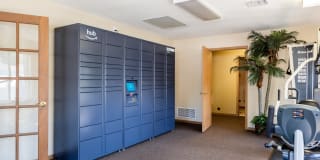 Ashford Apartments Gallery 20