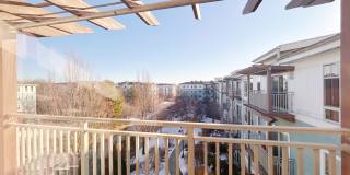 4 Repton Place - 4415 Gallery 19