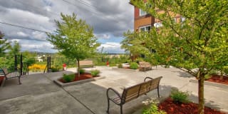 Springwater Crossing Gallery 37