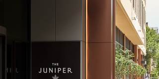 The Juniper & The Reserve at Juniper Gallery 4