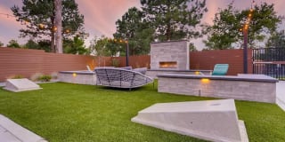 Elm at Panorama Gallery 20