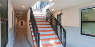Inez Gallery 8