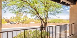 9876 North Ridge Shadow Place Gallery 45