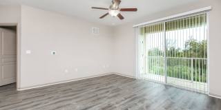 RIZE at Winter Springs Gallery 157