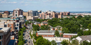 The View Ballston Gallery 16