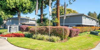 Pruneyard West Gallery 9