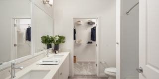 Gateway at Pinellas Apartments Gallery 8