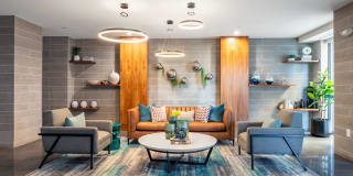 Valley and Bloom Gallery 3