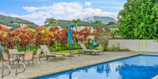 Furnished 3 Bedroom 3 Bath Condo Gallery 21