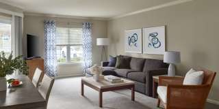 AVE Malvern Gallery 5