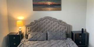 10360 Prato Drive Gallery 19