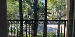 805 NORMANDY TRACE ROAD Gallery 29