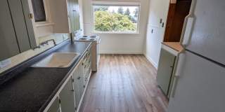 Manette View Apartment For Rent! Will Not Last Long! Available Now! Manette View Apartment For Rent! Will Not Last Long! Available Now! Gallery 8