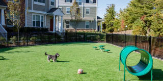 Avalon Townhome Collection Roseland Gallery 18