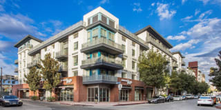 Living at NoHo Gallery 20