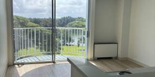 101 Aupuni St #616 101 Aupuni St #616 Gallery 1