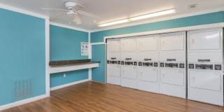 Cottage Grove Gallery 28