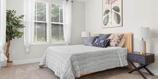 Parkview at Springhill Gallery 12