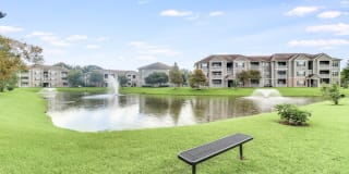 Plantation Crossing Gallery 18