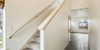 Cozy 3 Bed Home: New Carpet, Fully Fenced Yard & Near Old Mill Gallery 3