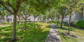 Mission Pointe by Windsor Gallery 35