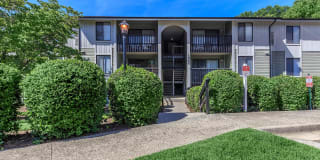 Walden Pond Gallery 15