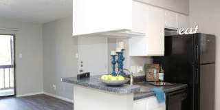 The Summit Gallery 4