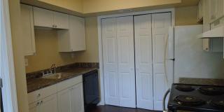 St. Albens Glen Gallery 7