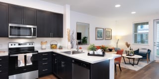 Senior Housing- Palmia, Age 55+ Luxury Apartments Gallery 3