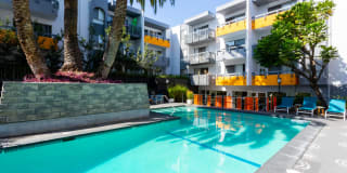 Violet on Virgil Violet on Virgil Gallery 20