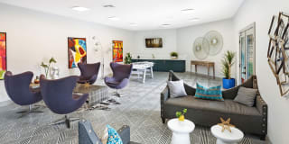 Allanza at the Lakes Gallery 5