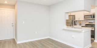 The Julep Gallery 58