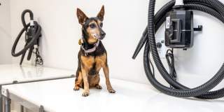 Avalon Durham Gallery 34