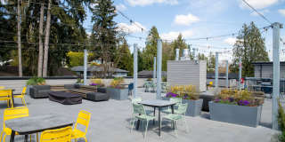 Morado Bothell Gallery 33