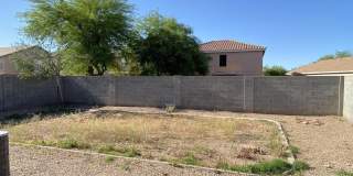 45462 W Tulip Lane Gallery 14