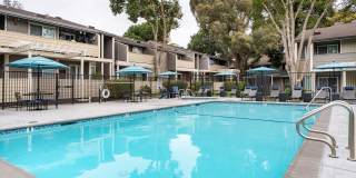 Sofi Dublin Gallery 11