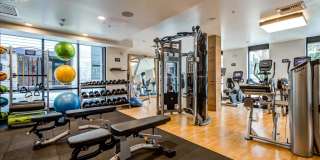 Windsor Queen Anne Gallery 3