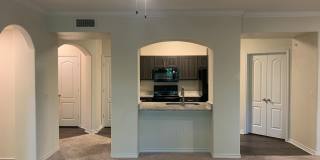 Austin City Lights Gallery 20